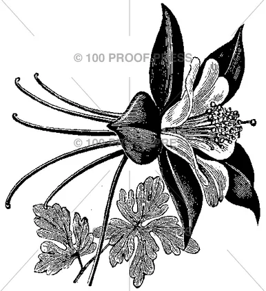100 Proof Press Rubber Stamp Columbine Blossom