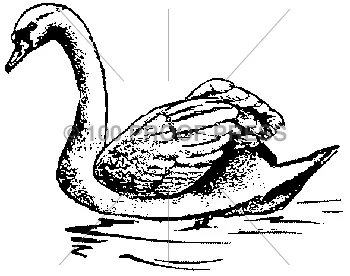 100 Proof Press Rubber Stamp Floating Swan